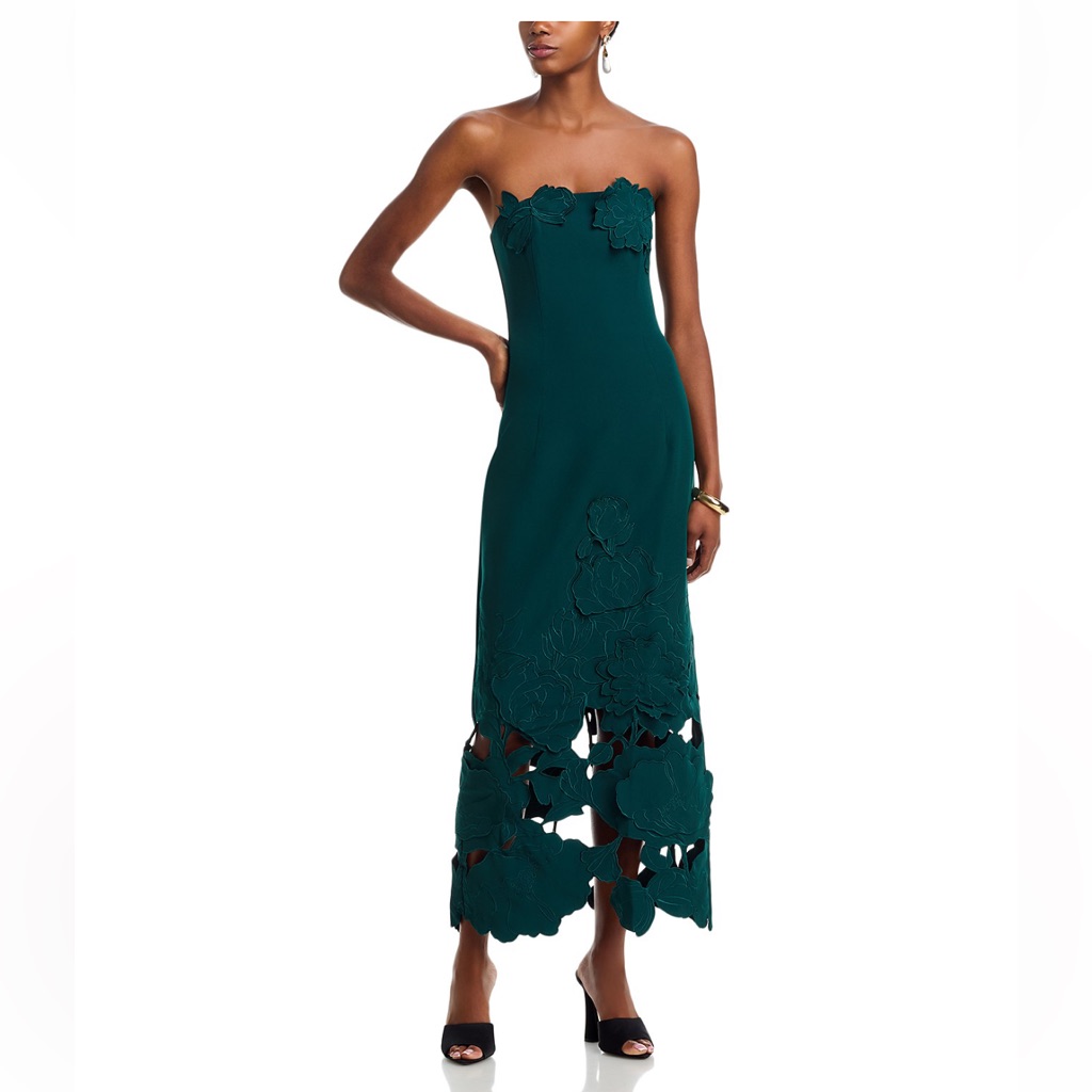 Leo Lin Rayna Appliqu Bustier Maxi Dress Green Size 8 Nwt